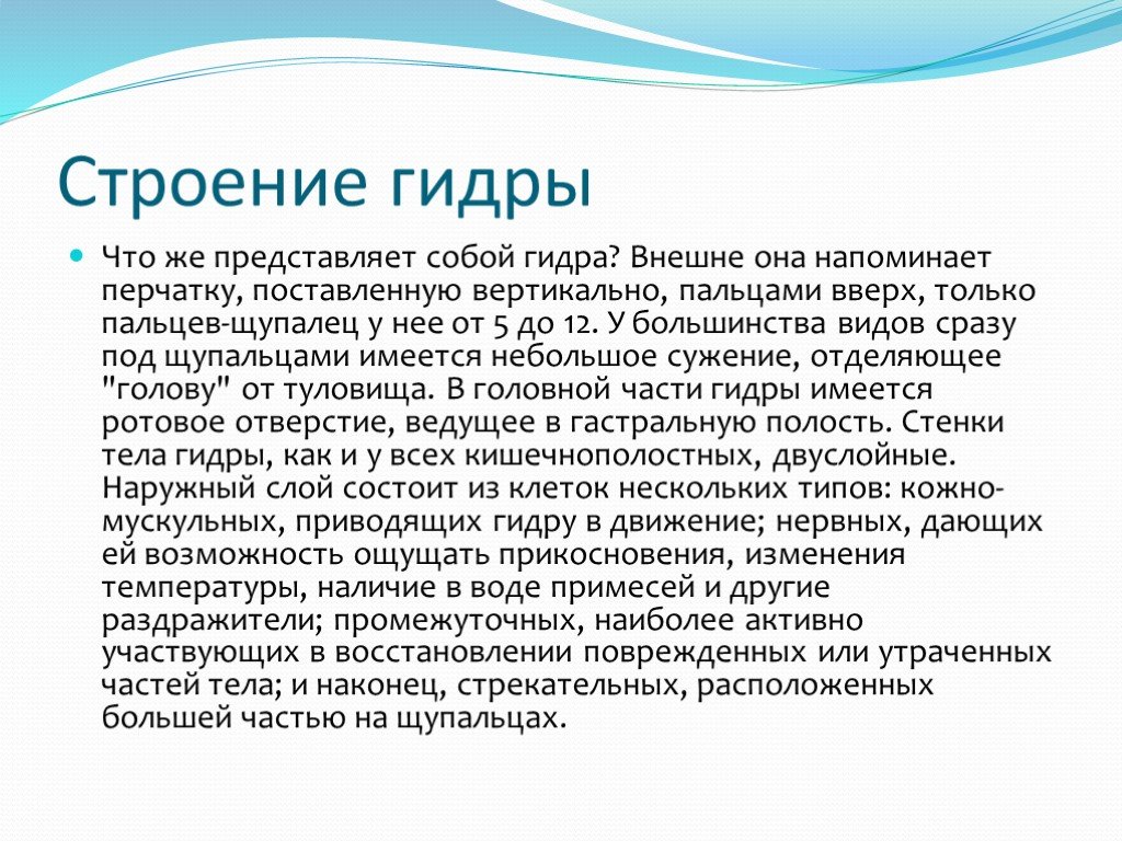 Как зайти на кракен через тор браузер